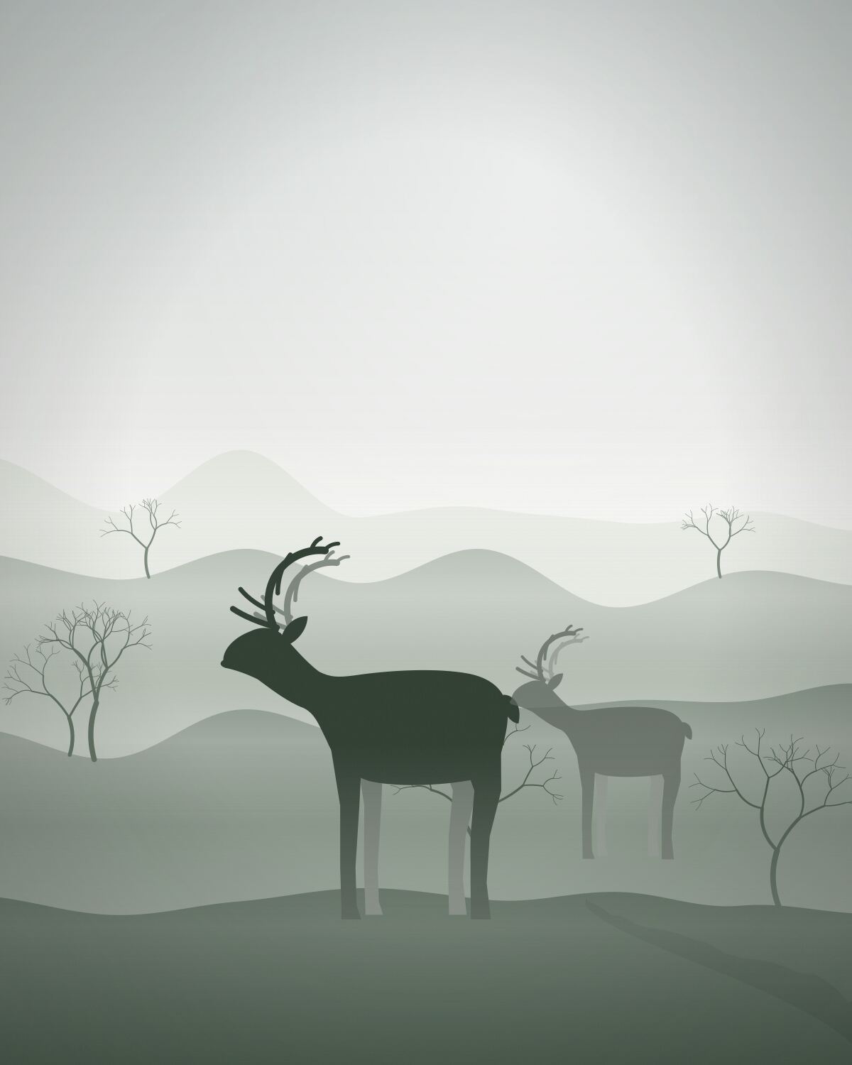 A reindeer standing in frosted grass on a still winter morning.