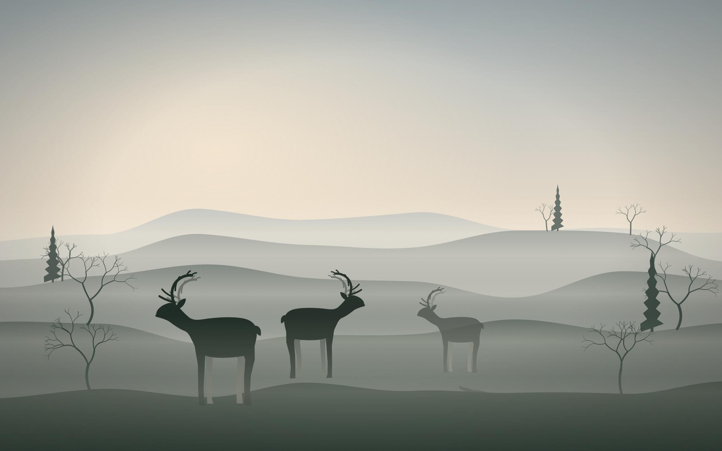 Reindeer grazing in a misty Northern Irish field at first light.